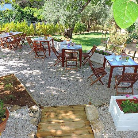 Mediterraneo Rooms Palinuro Εξωτερικό φωτογραφία
